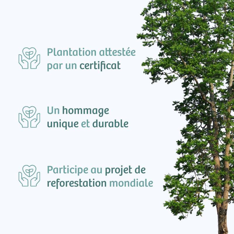 Planter un arbre en hommage à M. Jean Claude CLARY